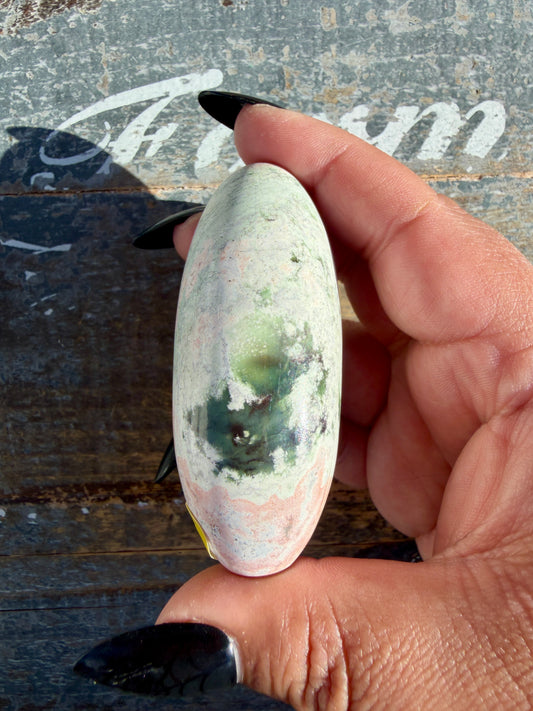 Gorgeous Pastel Unicorn Jasper Lingam | Opt F