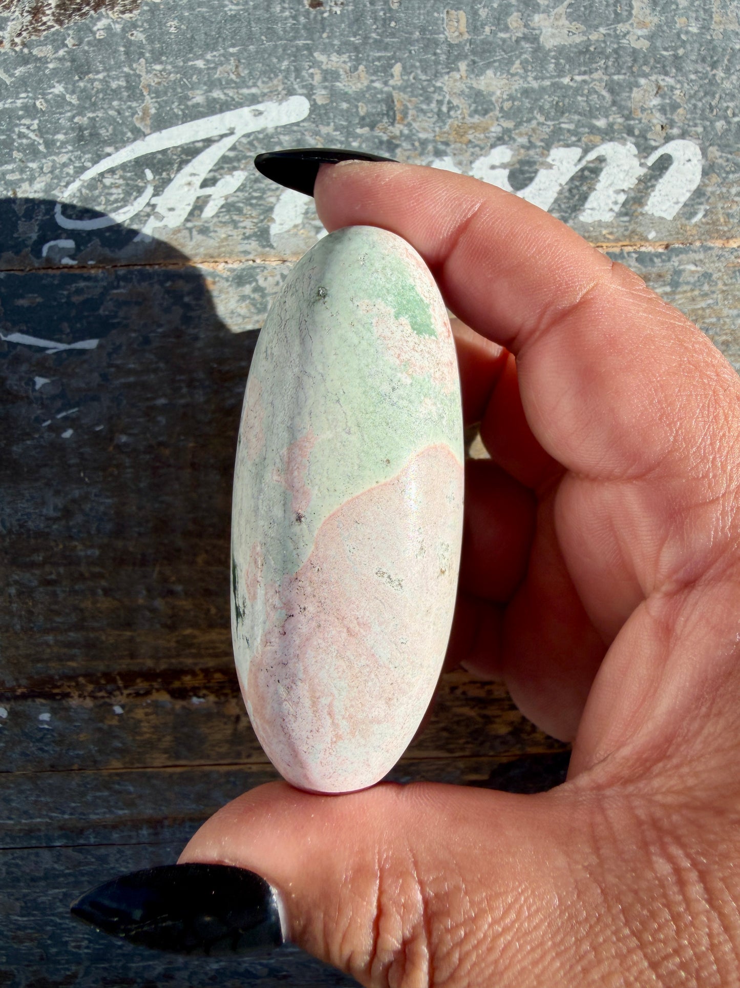 Gorgeous Pastel Unicorn Jasper Lingam | Opt F