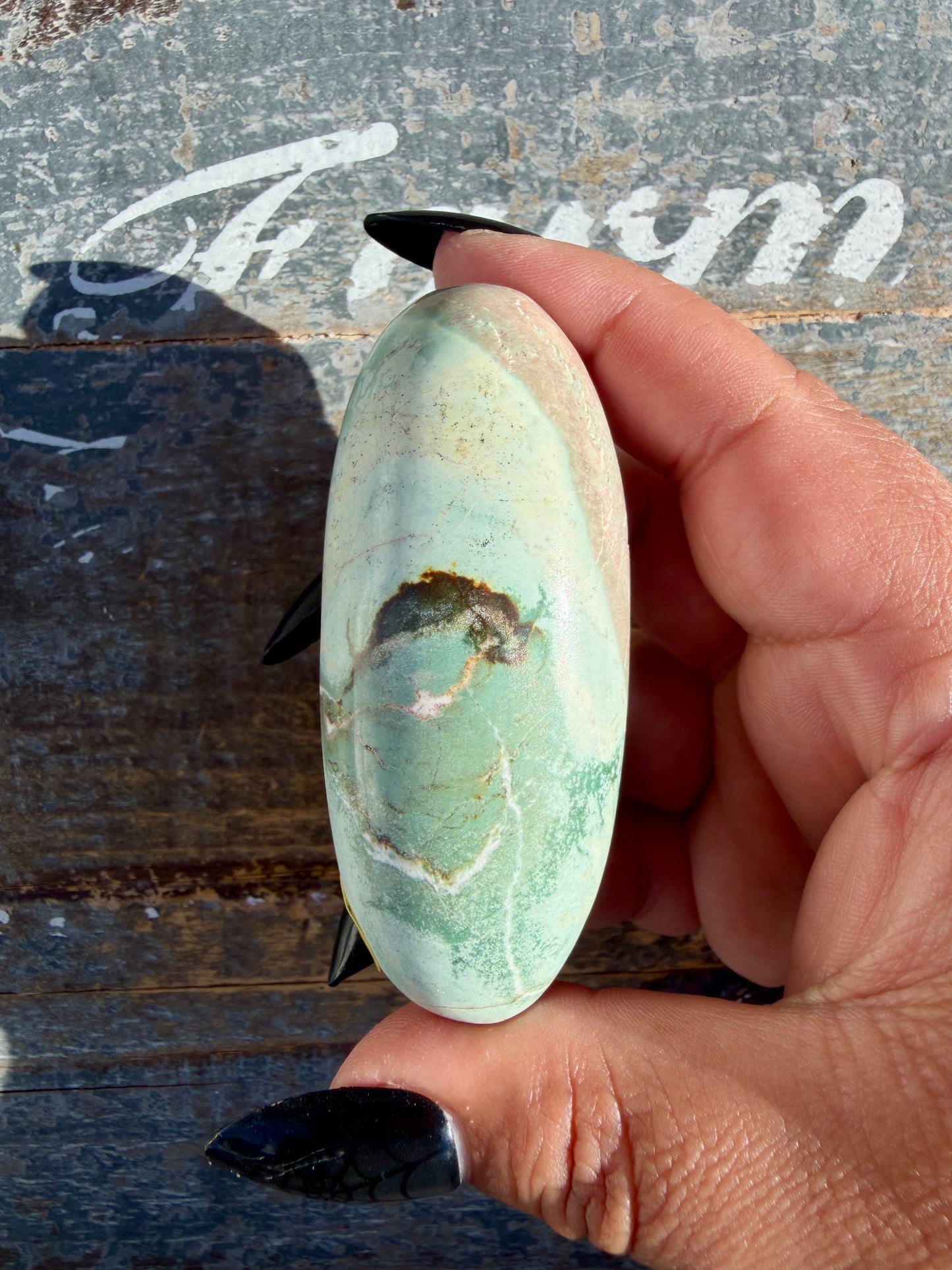 Gorgeous Pastel Unicorn Jasper Lingam | Opt E