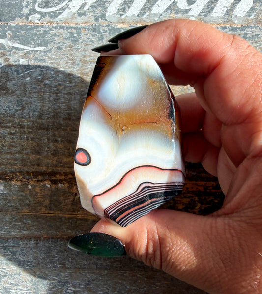 Gorgeous Carnelian Freeform | Opt G