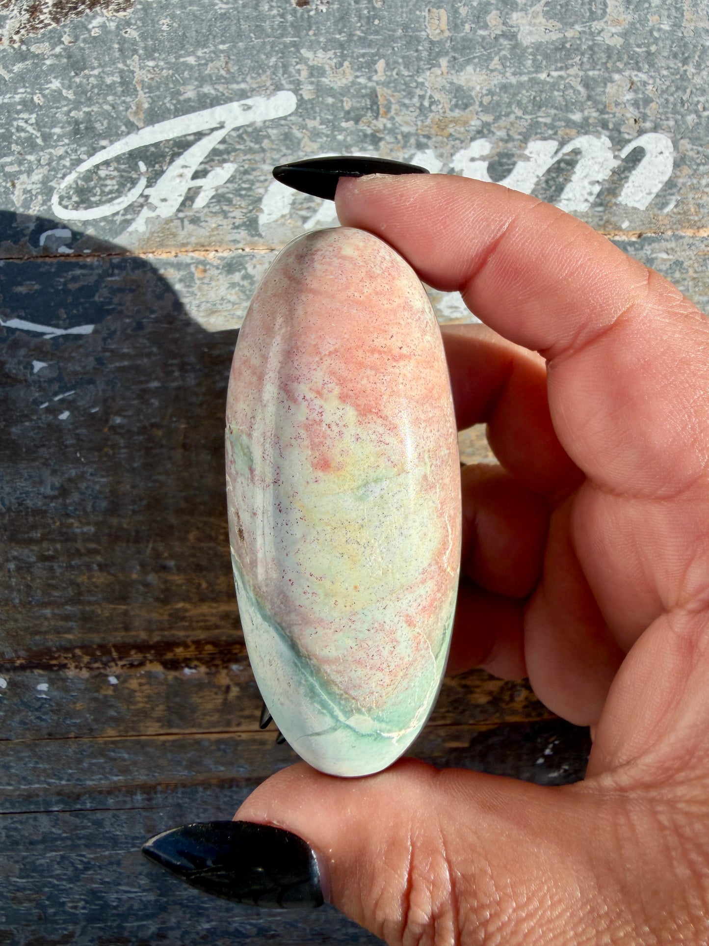 Gorgeous Pastel Unicorn Jasper Lingam | Opt E