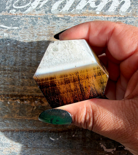Gorgeous Carnelian Freeform | Opt A