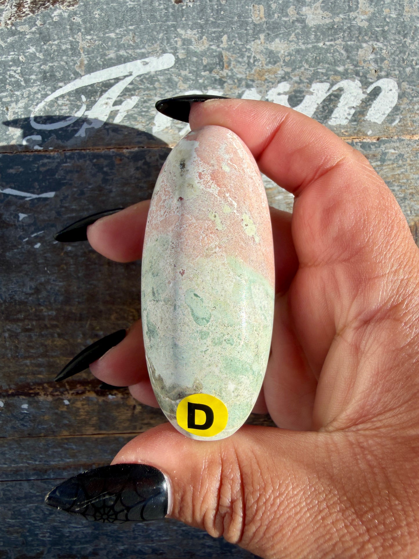 Gorgeous Pastel Unicorn Jasper Lingam | Opt D