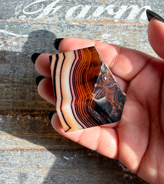 Gorgeous Carnelian Freeform | Opt I