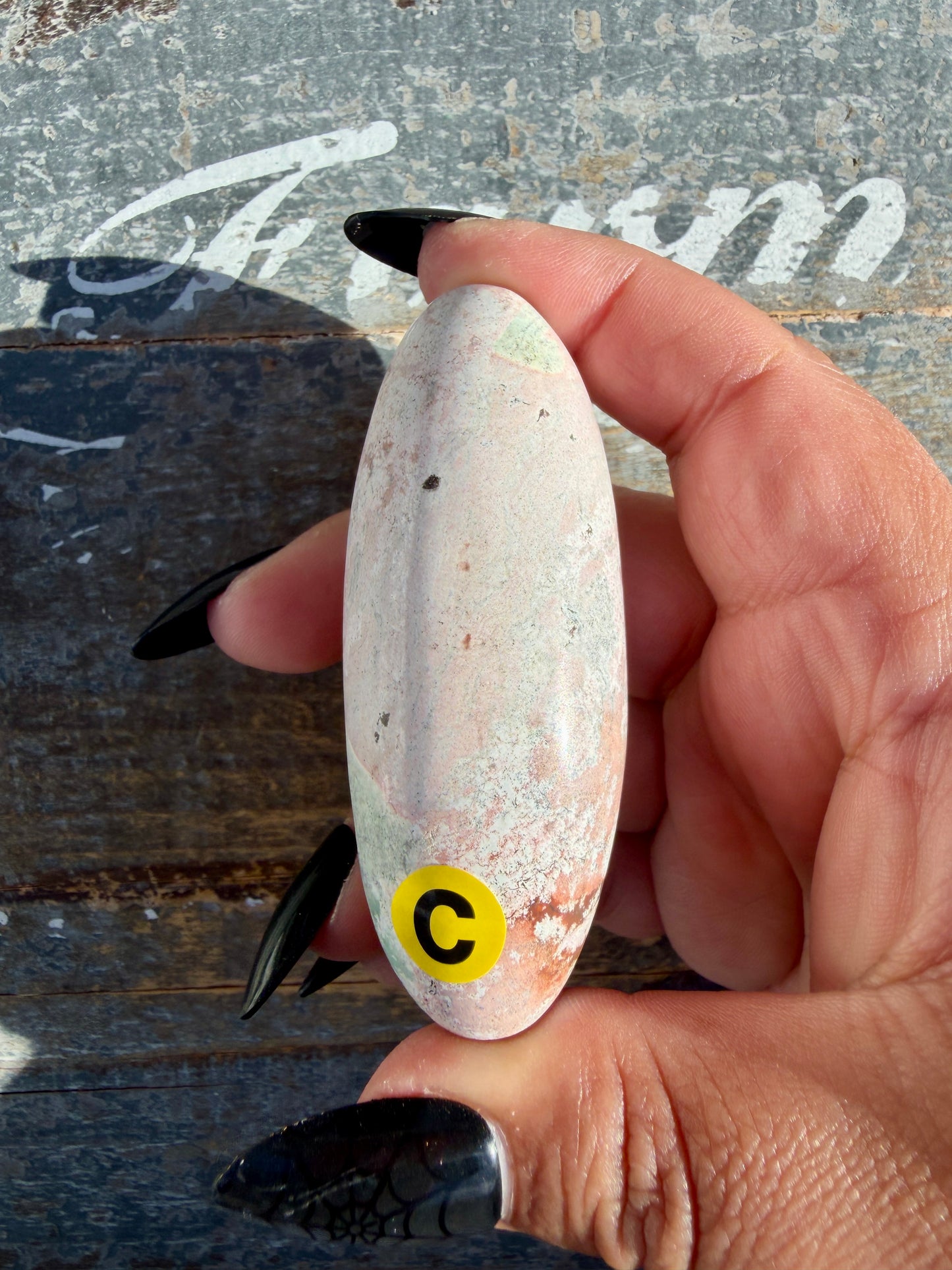 Gorgeous Pastel Unicorn Jasper Lingam | Opt C