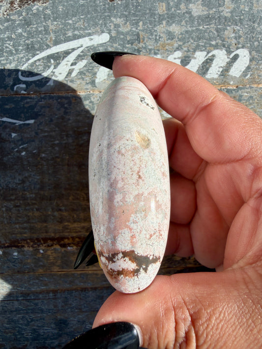Gorgeous Pastel Unicorn Jasper Lingam | Opt C