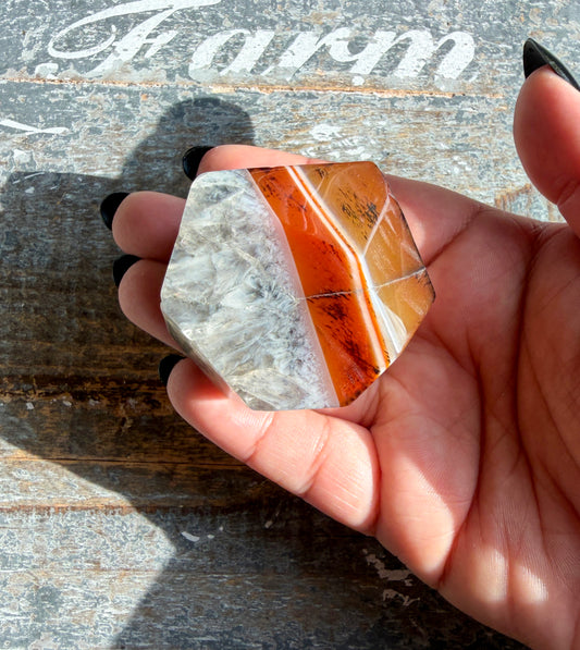 Gorgeous Carnelian Freeform | Opt E
