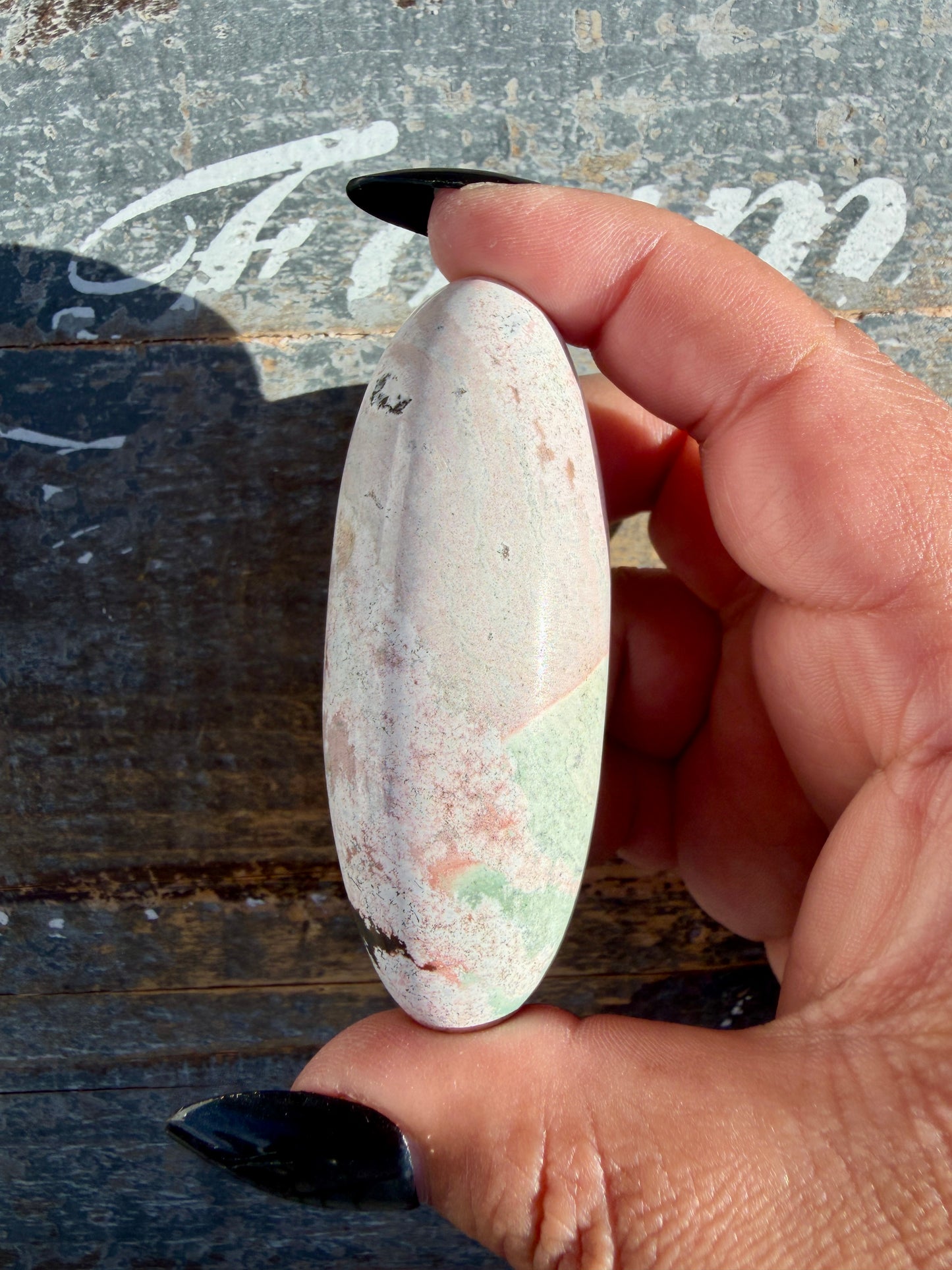 Gorgeous Pastel Unicorn Jasper Lingam | Opt C