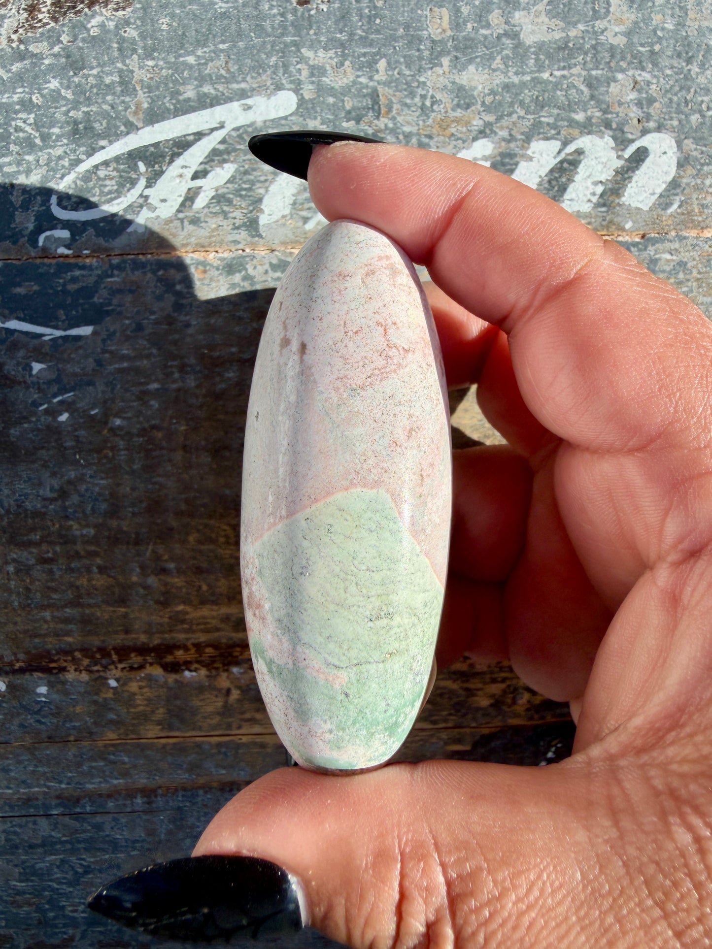 Gorgeous Pastel Unicorn Jasper Lingam | Opt C