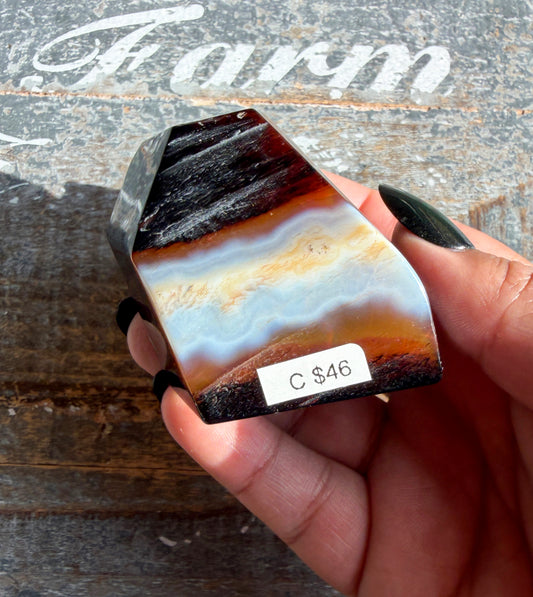 Gorgeous Carnelian Freeform | Opt C