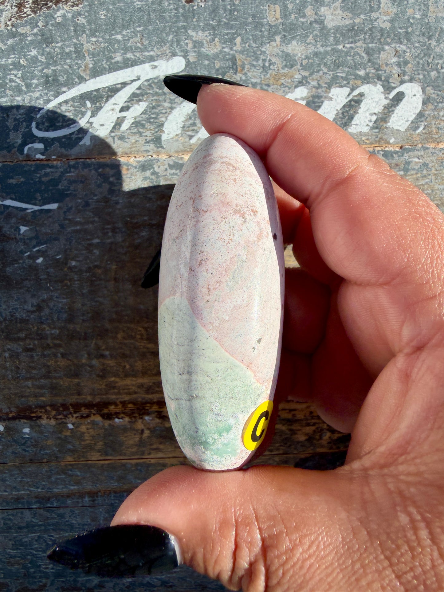 Gorgeous Pastel Unicorn Jasper Lingam | Opt C