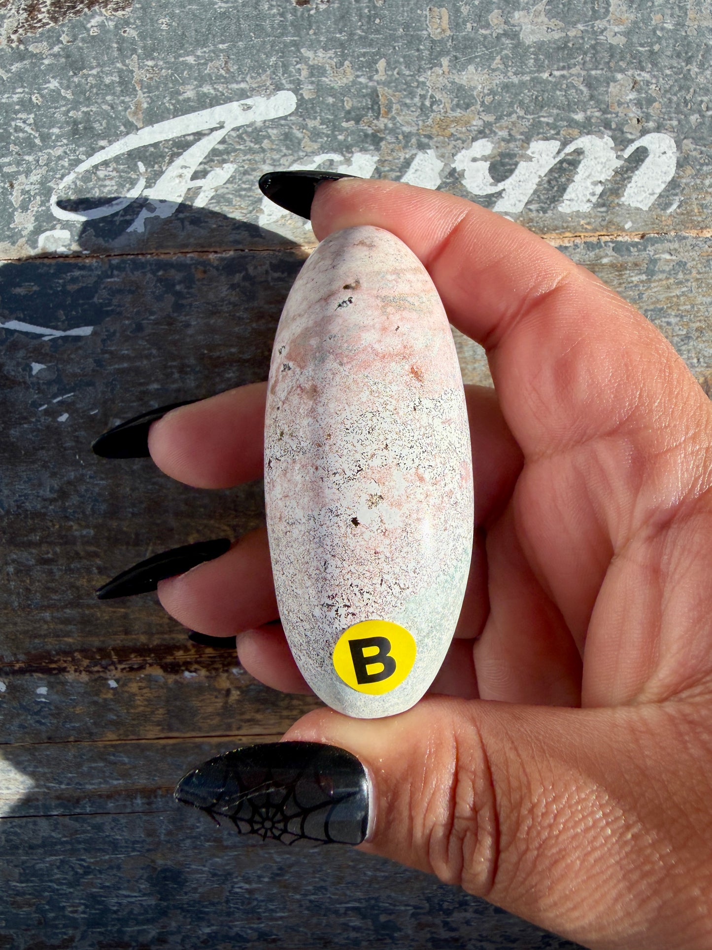 Gorgeous Pastel Unicorn Jasper Lingam | Opt B