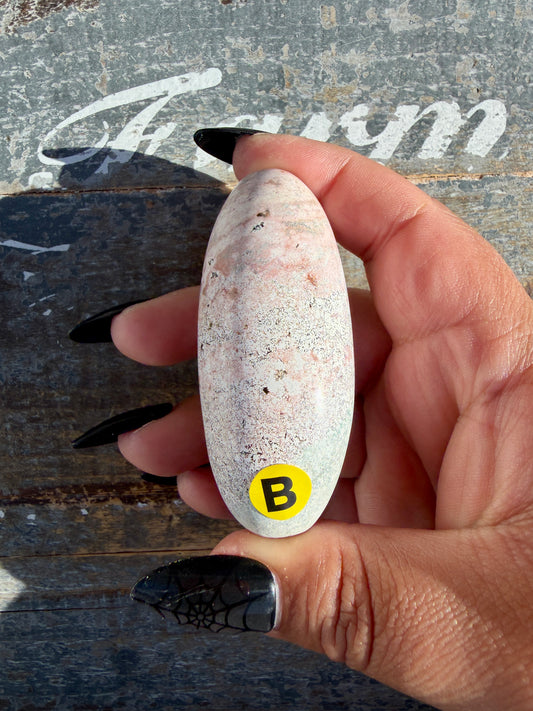 Gorgeous Pastel Unicorn Jasper Lingam | Opt B