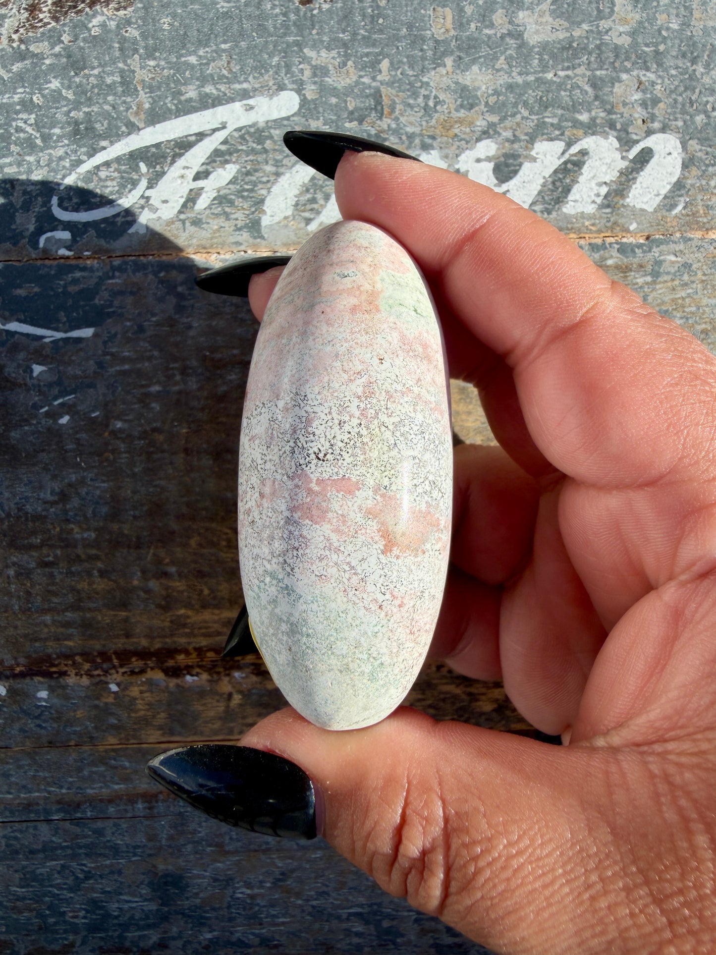 Gorgeous Pastel Unicorn Jasper Lingam | Opt B
