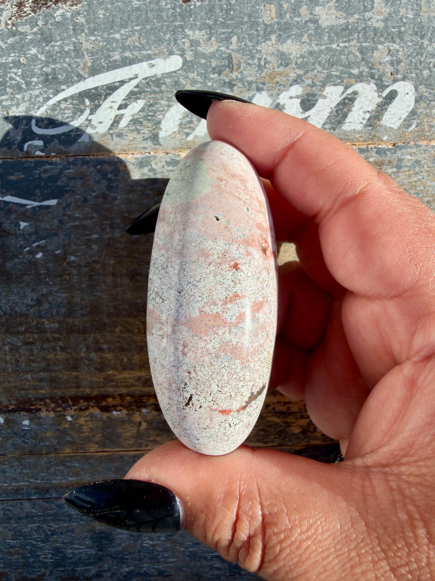 Gorgeous Pastel Unicorn Jasper Lingam | Opt B