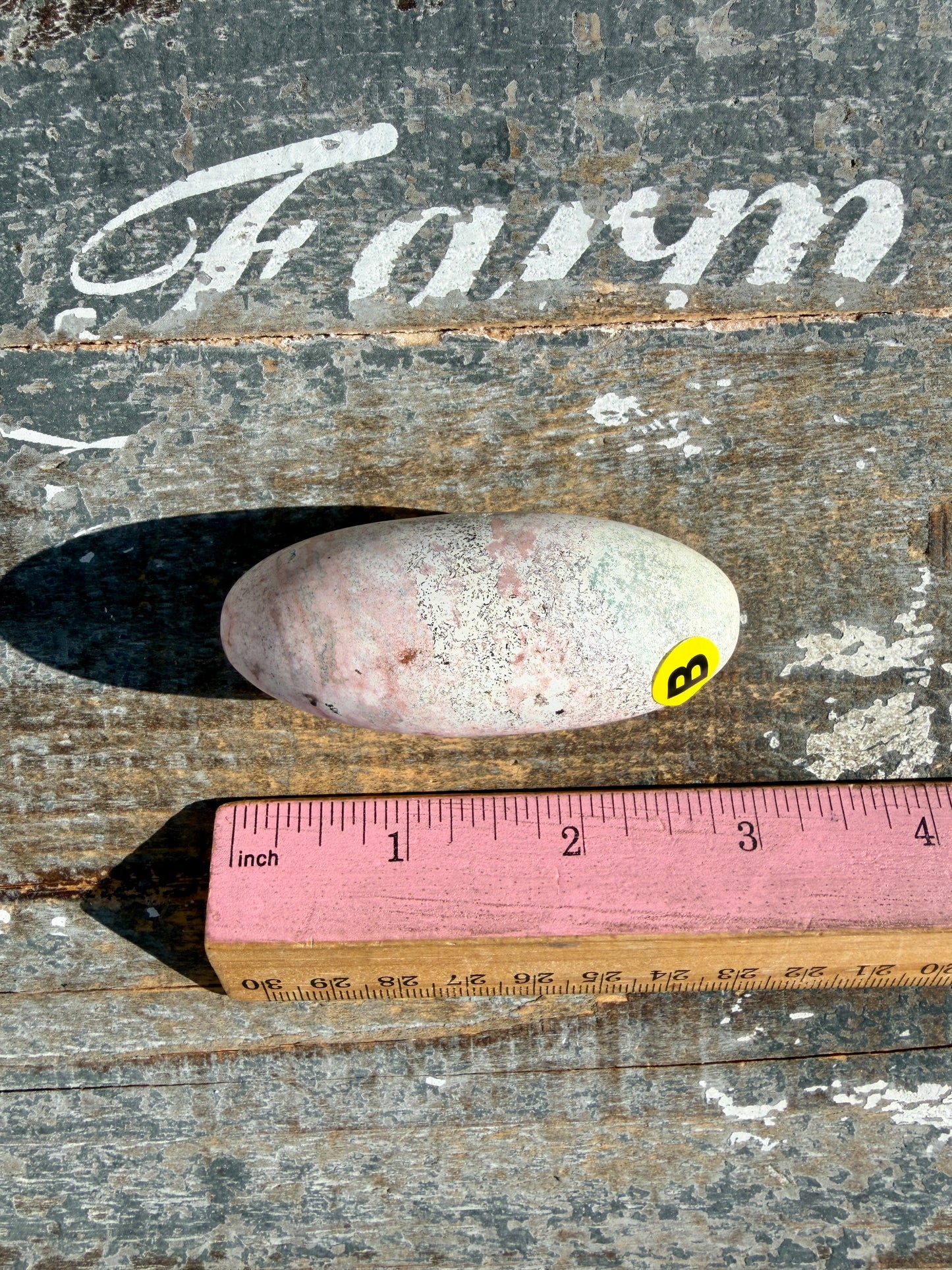 Gorgeous Pastel Unicorn Jasper Lingam | Opt B