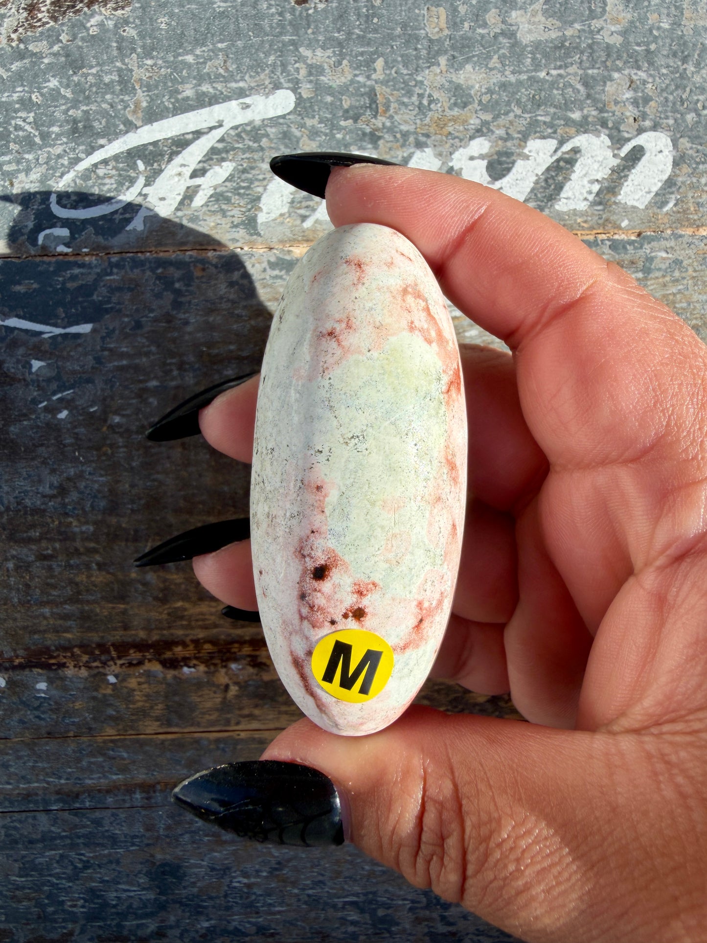 Gorgeous Pastel Unicorn Jasper Lingam | Opt M