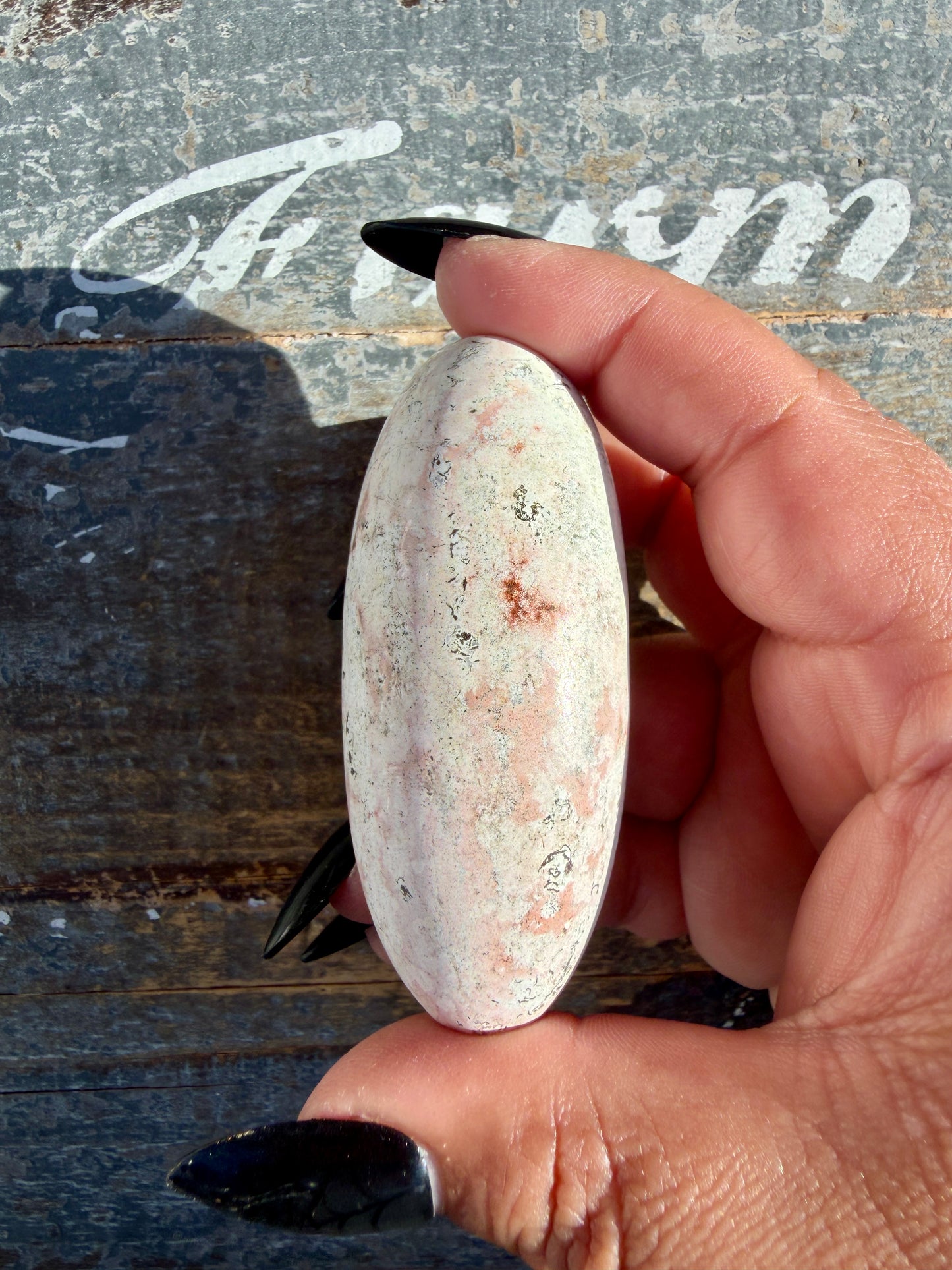 Gorgeous Pastel Unicorn Jasper Lingam | Opt M