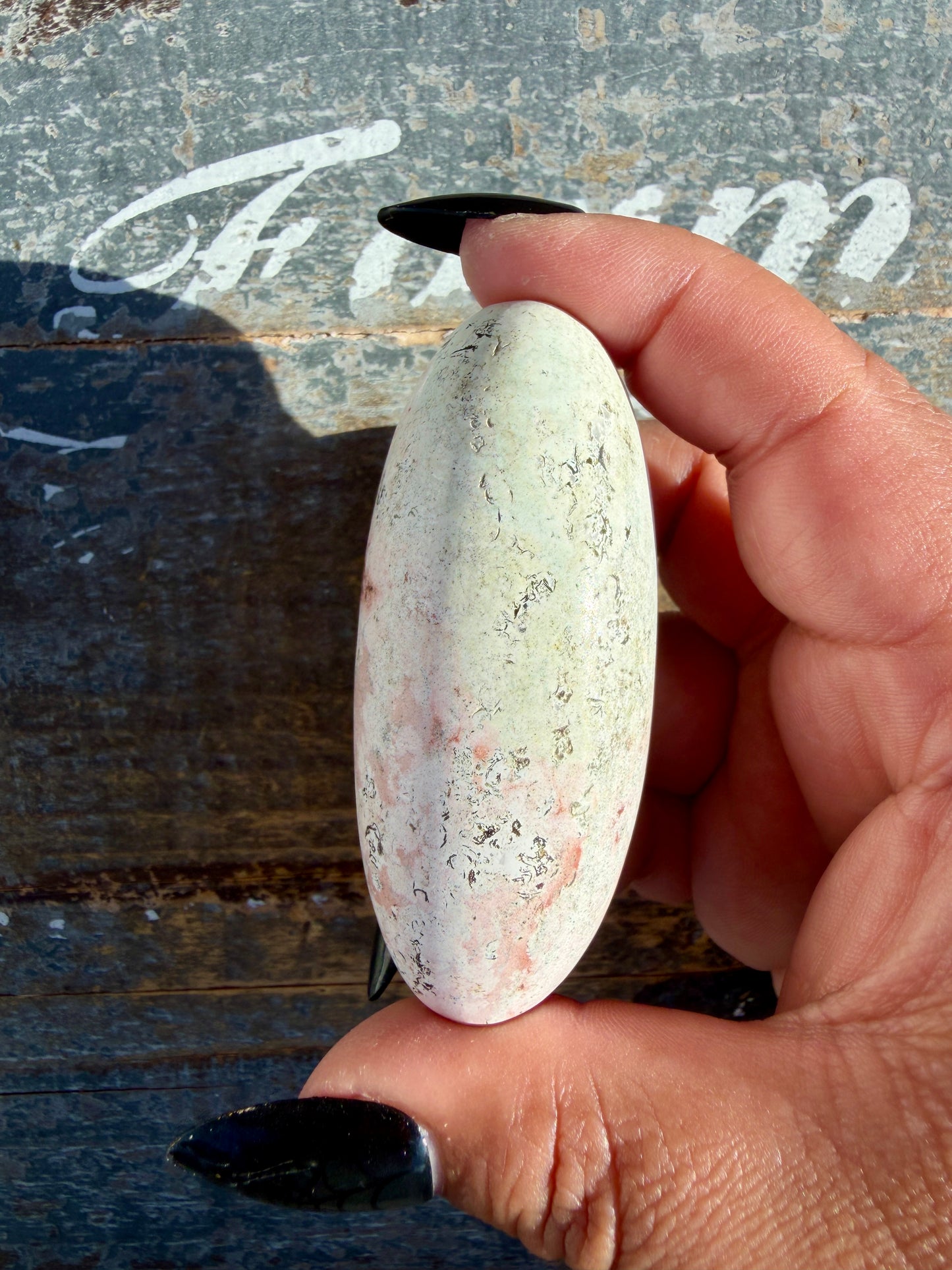 Gorgeous Pastel Unicorn Jasper Lingam | Opt M