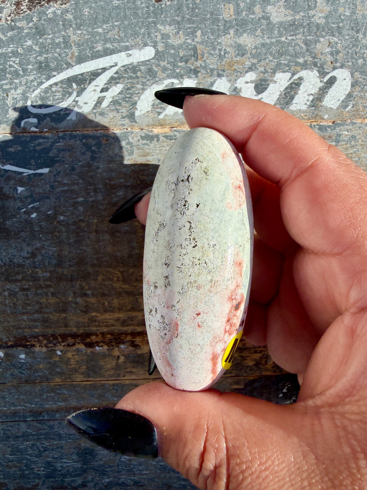 Gorgeous Pastel Unicorn Jasper Lingam | Opt M