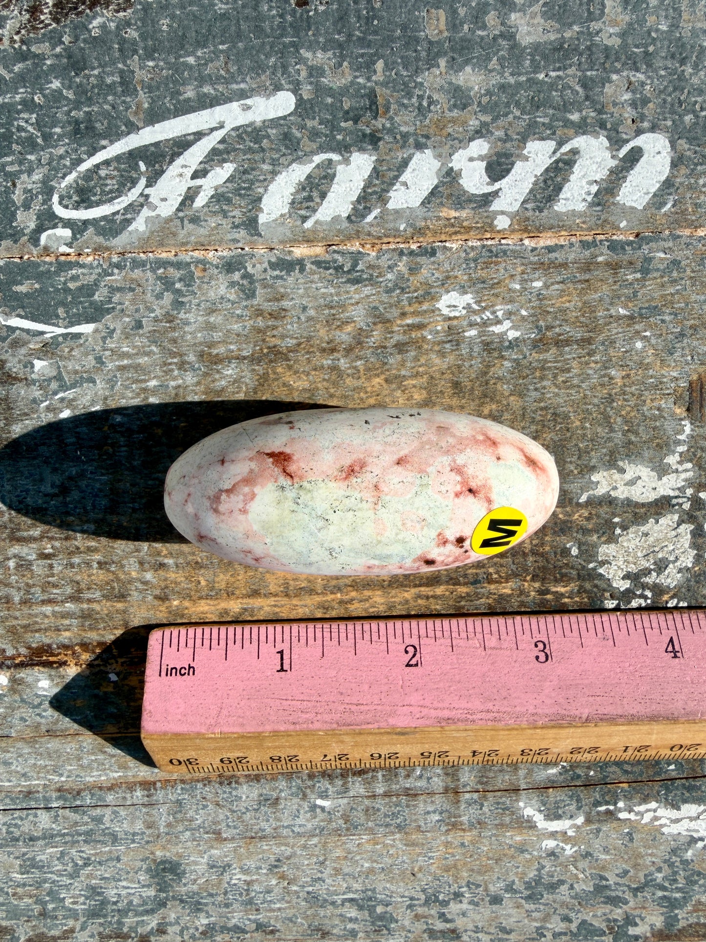 Gorgeous Pastel Unicorn Jasper Lingam | Opt M
