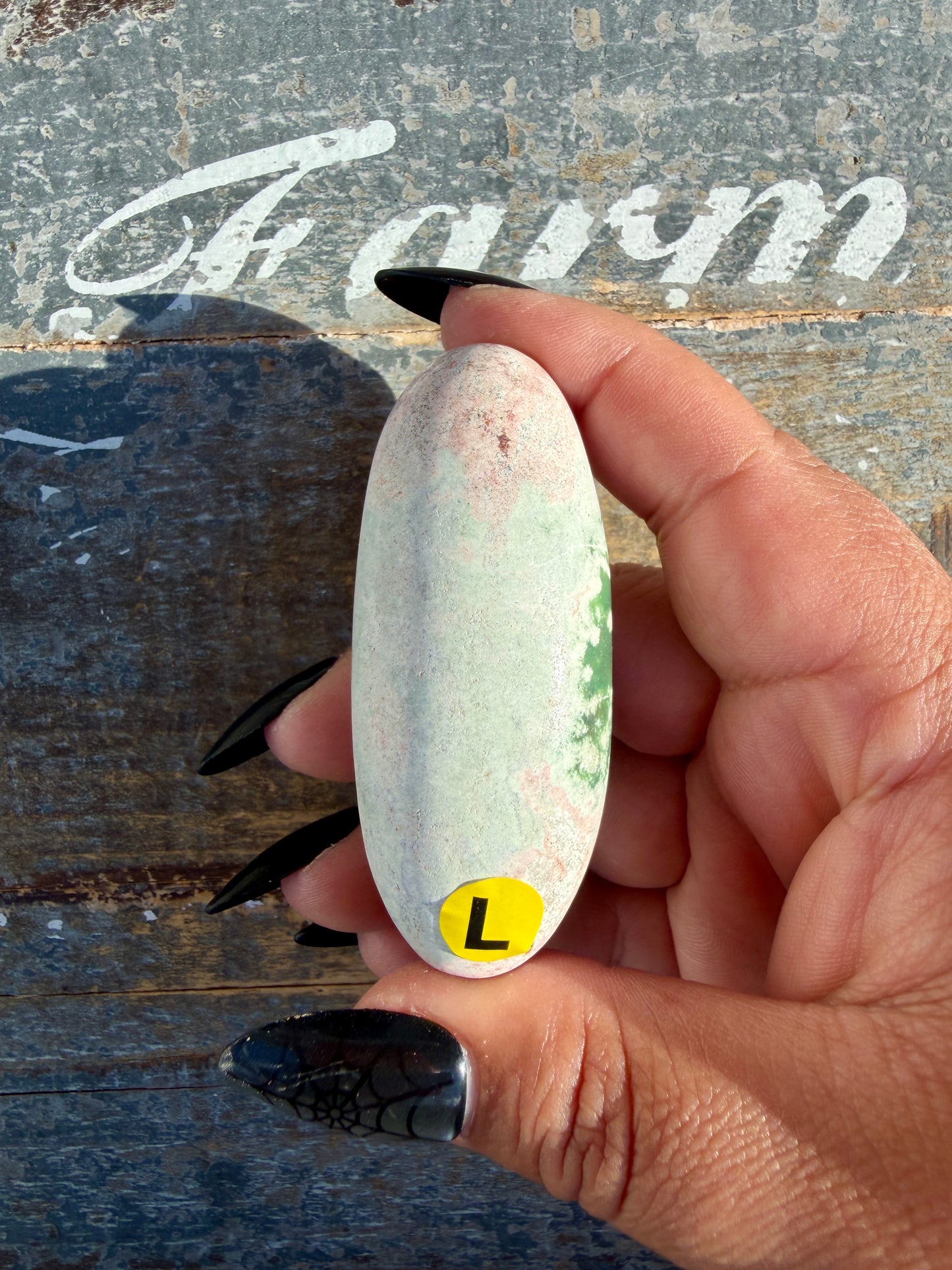 Gorgeous Pastel Unicorn Jasper Lingam | Opt L