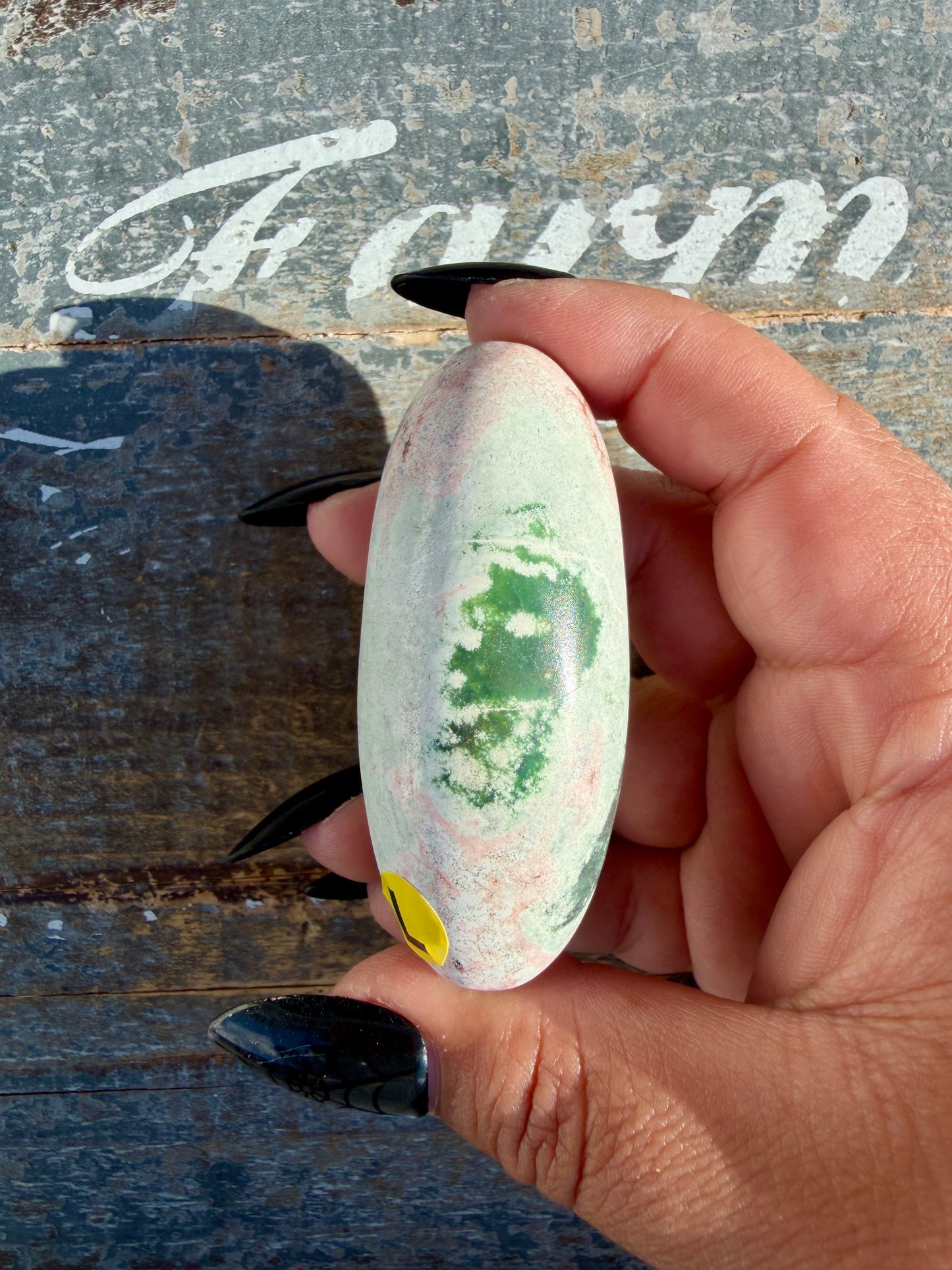 Gorgeous Pastel Unicorn Jasper Lingam | Opt L