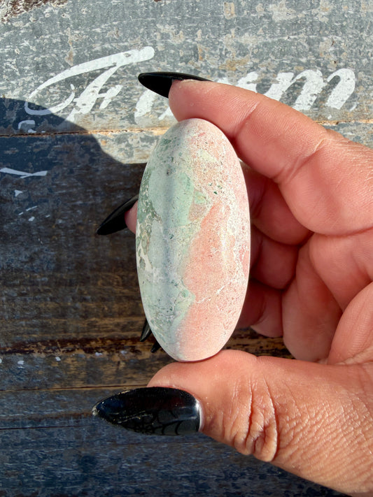 Gorgeous Pastel Unicorn Jasper Lingam | Opt K