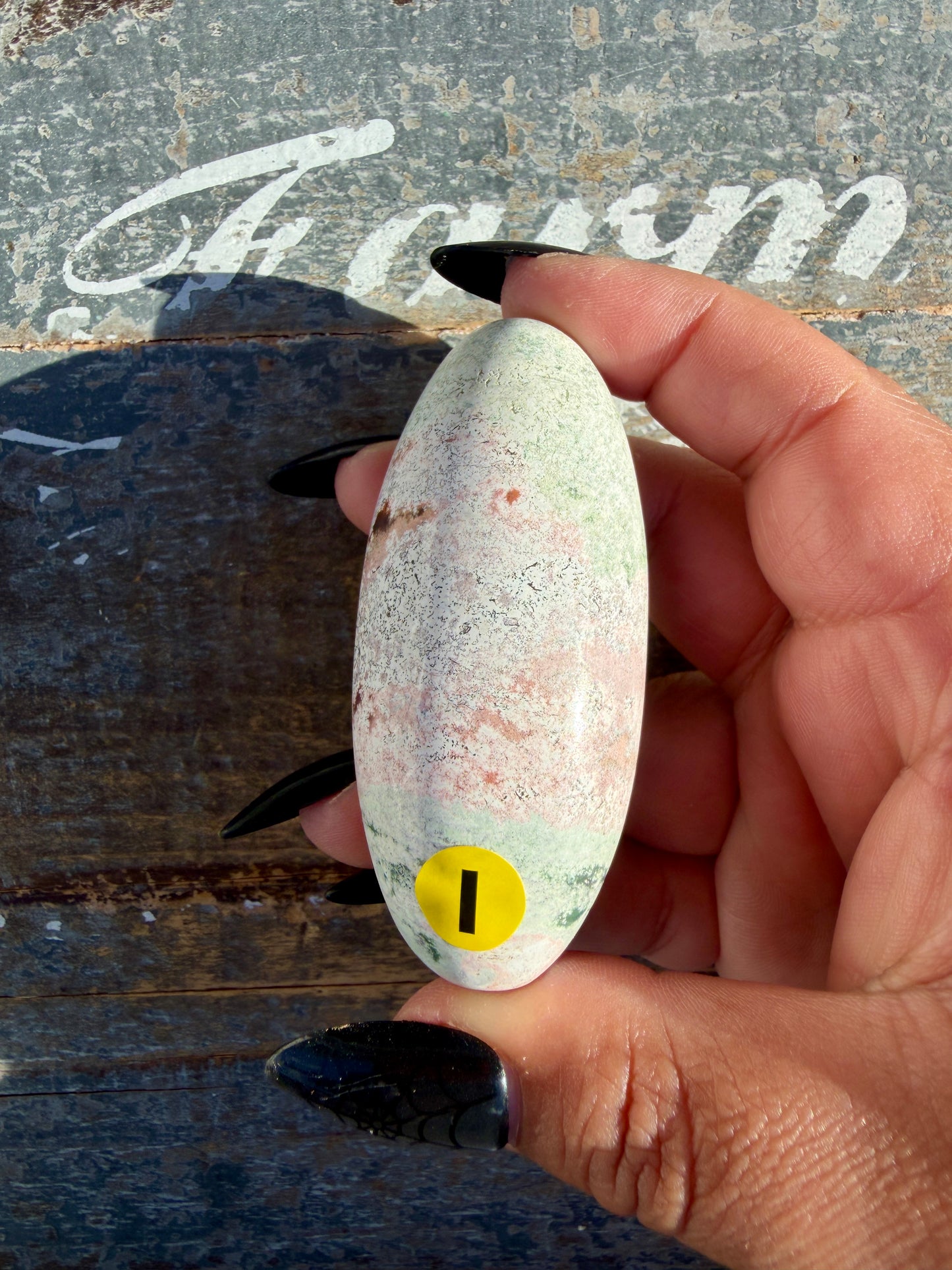 Gorgeous Pastel Unicorn Jasper Lingam | Opt I