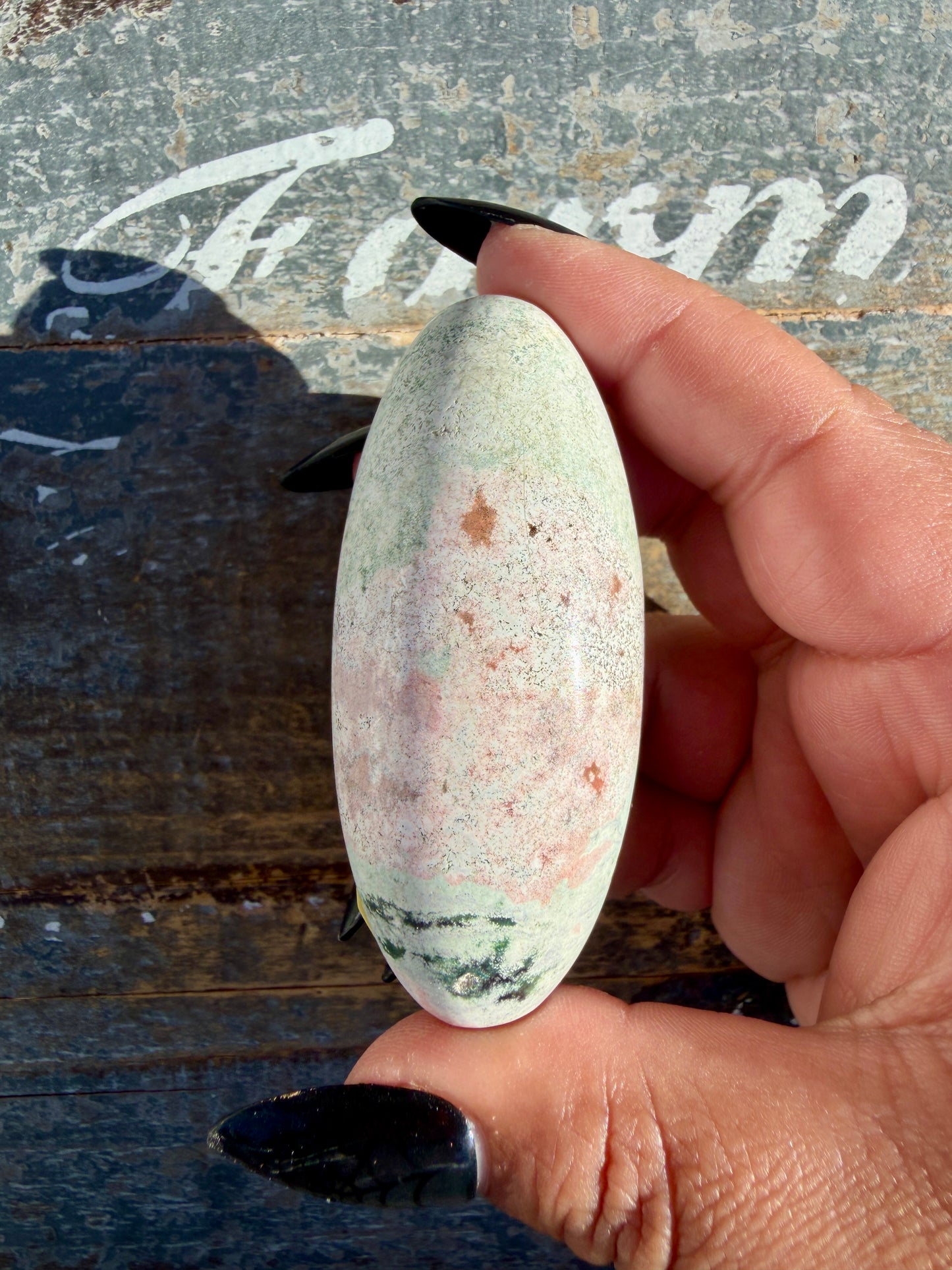 Gorgeous Pastel Unicorn Jasper Lingam | Opt I