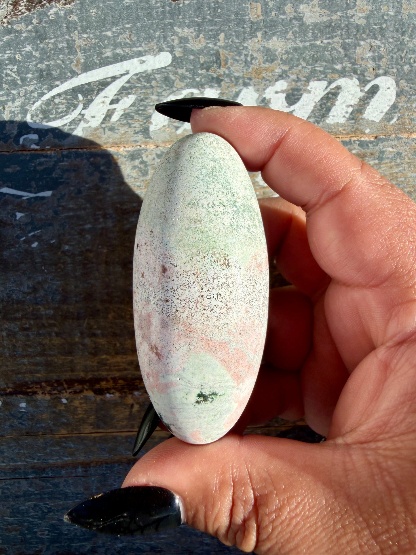 Gorgeous Pastel Unicorn Jasper Lingam | Opt I