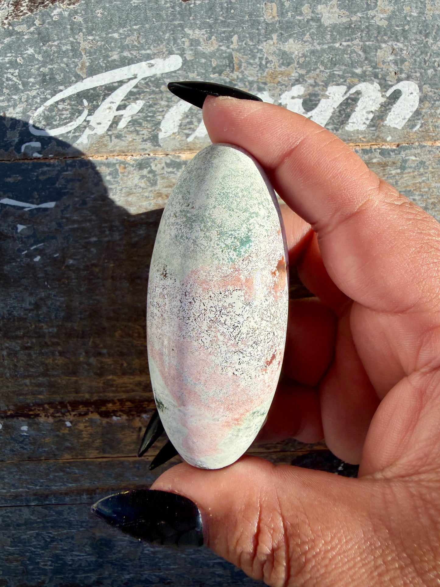 Gorgeous Pastel Unicorn Jasper Lingam | Opt I