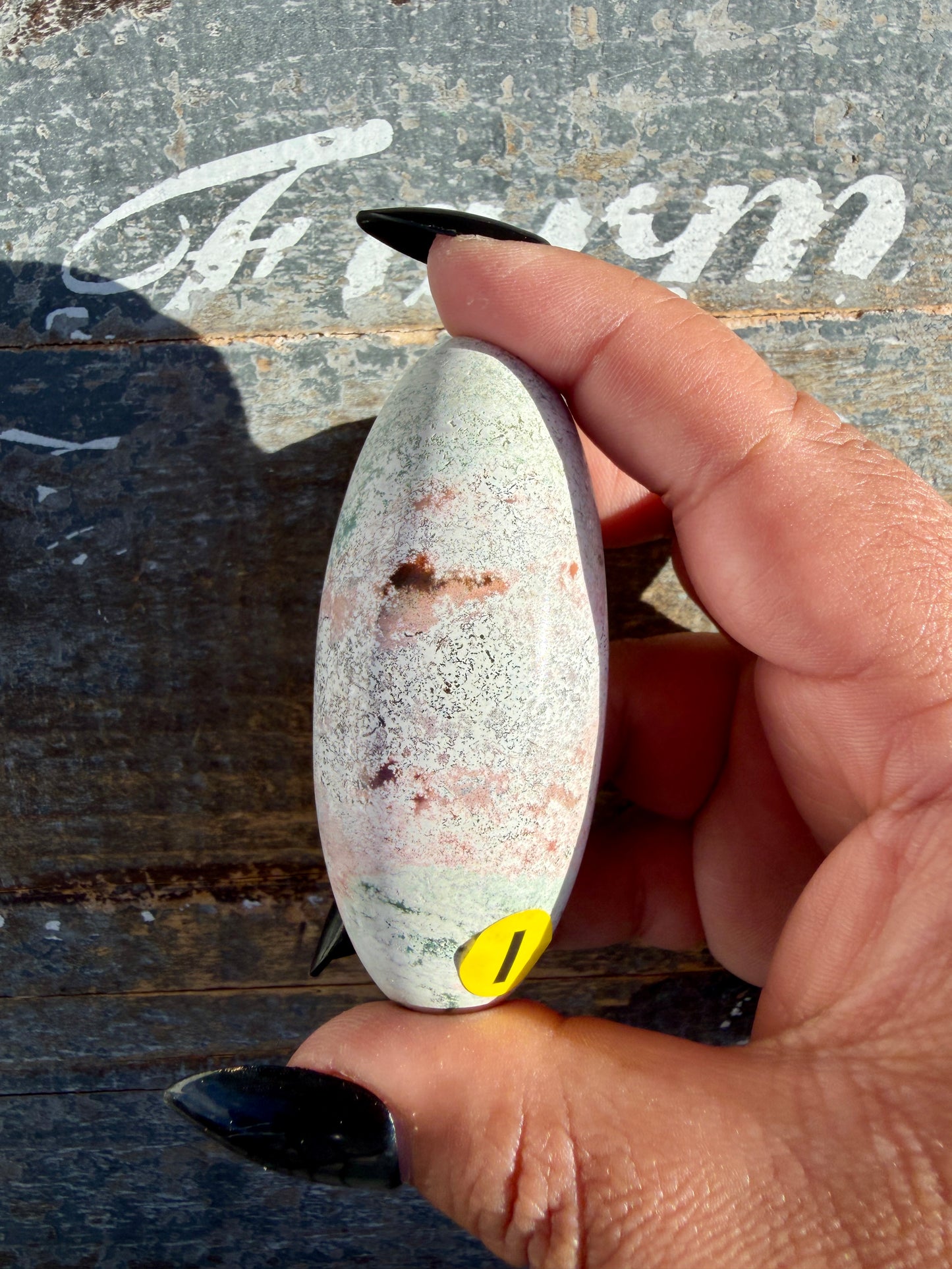 Gorgeous Pastel Unicorn Jasper Lingam | Opt I