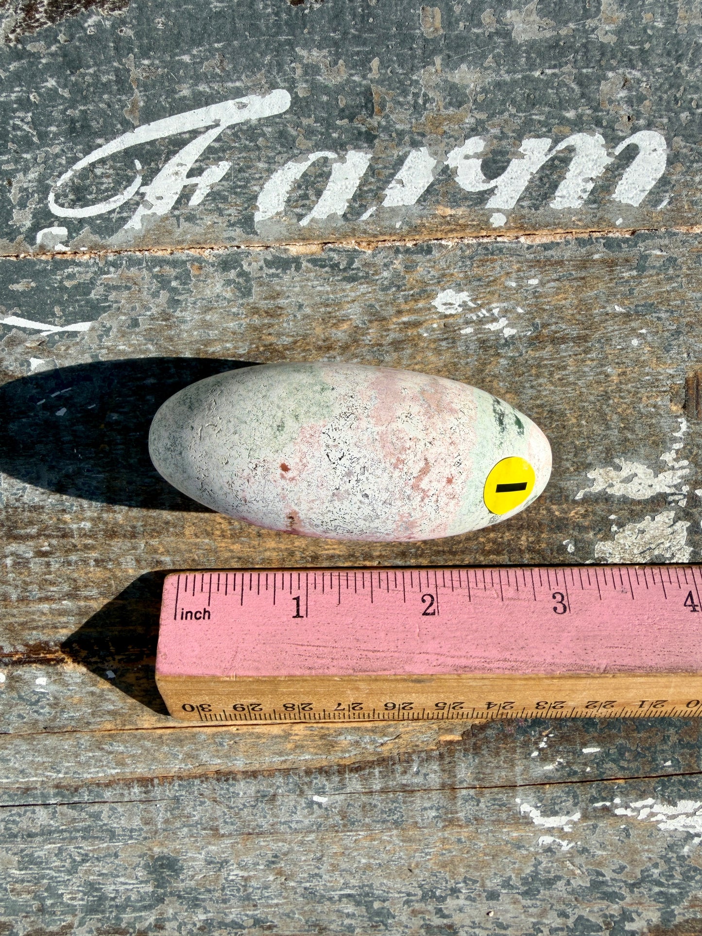 Gorgeous Pastel Unicorn Jasper Lingam | Opt I