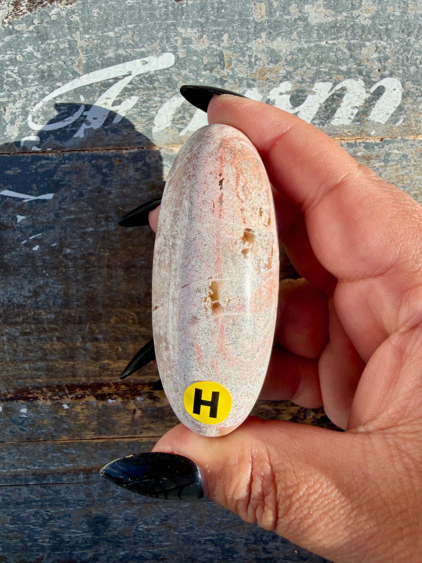 Gorgeous Pastel Unicorn Jasper Lingam | Opt H