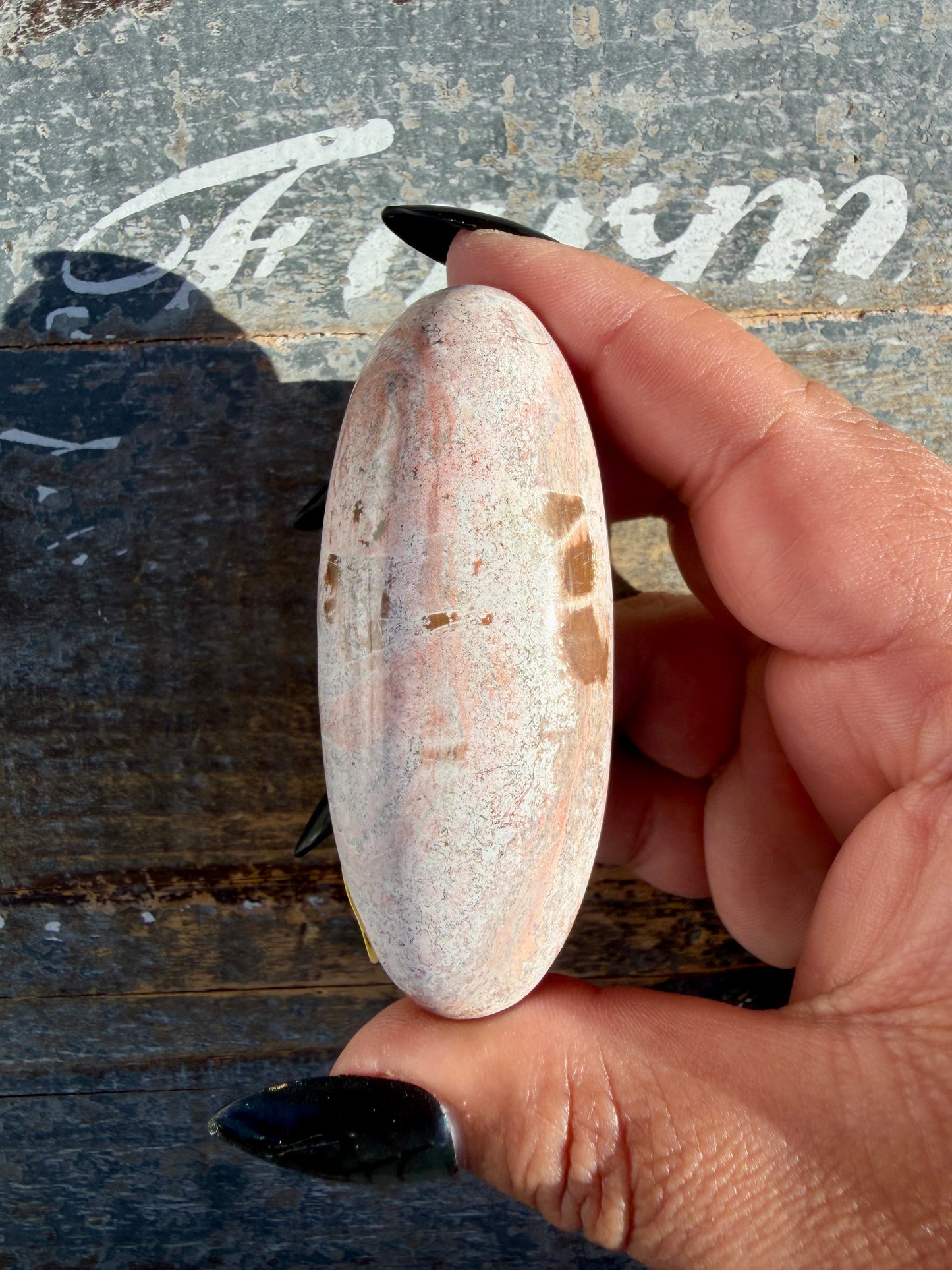 Gorgeous Pastel Unicorn Jasper Lingam | Opt H