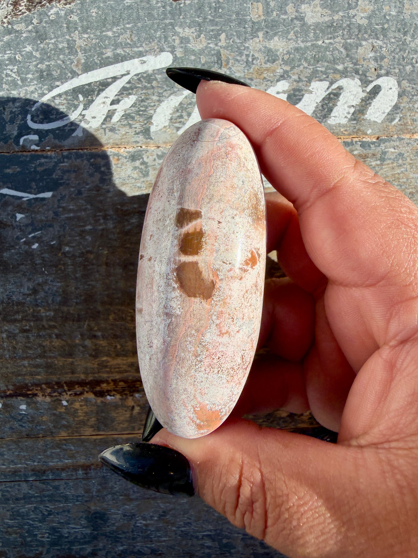 Gorgeous Pastel Unicorn Jasper Lingam | Opt H