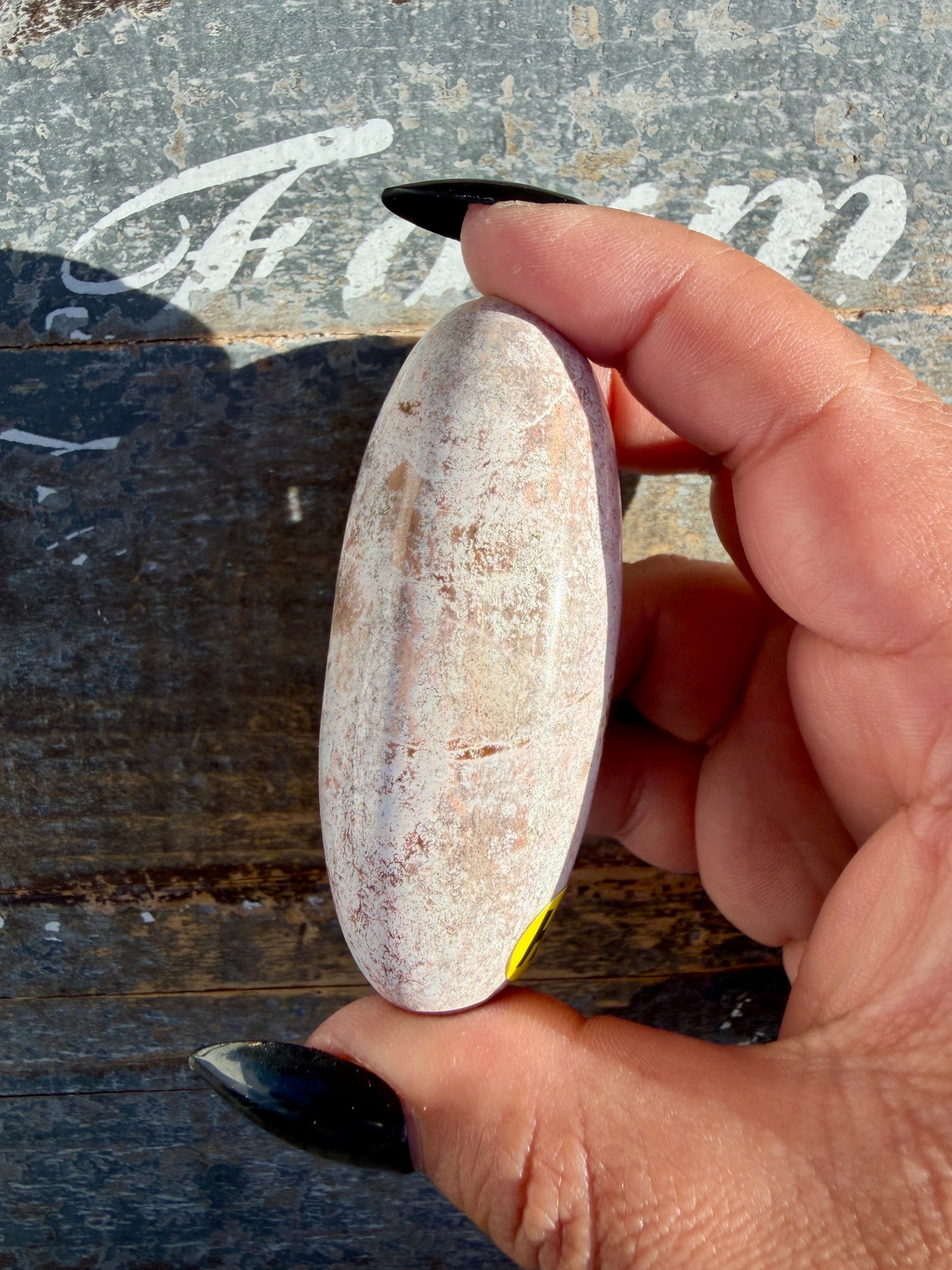 Gorgeous Pastel Unicorn Jasper Lingam | Opt H