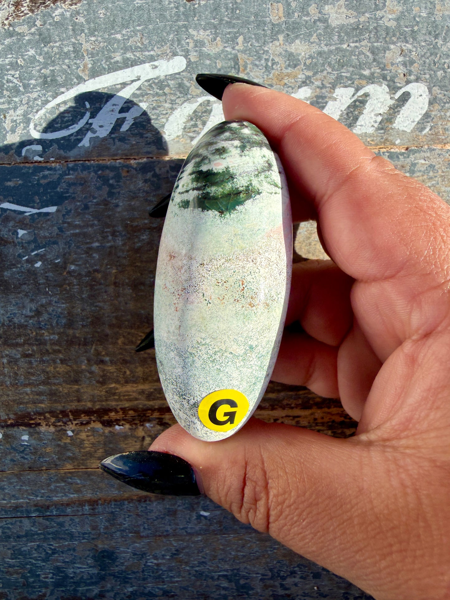 Gorgeous Pastel Unicorn Jasper Lingam | Opt G