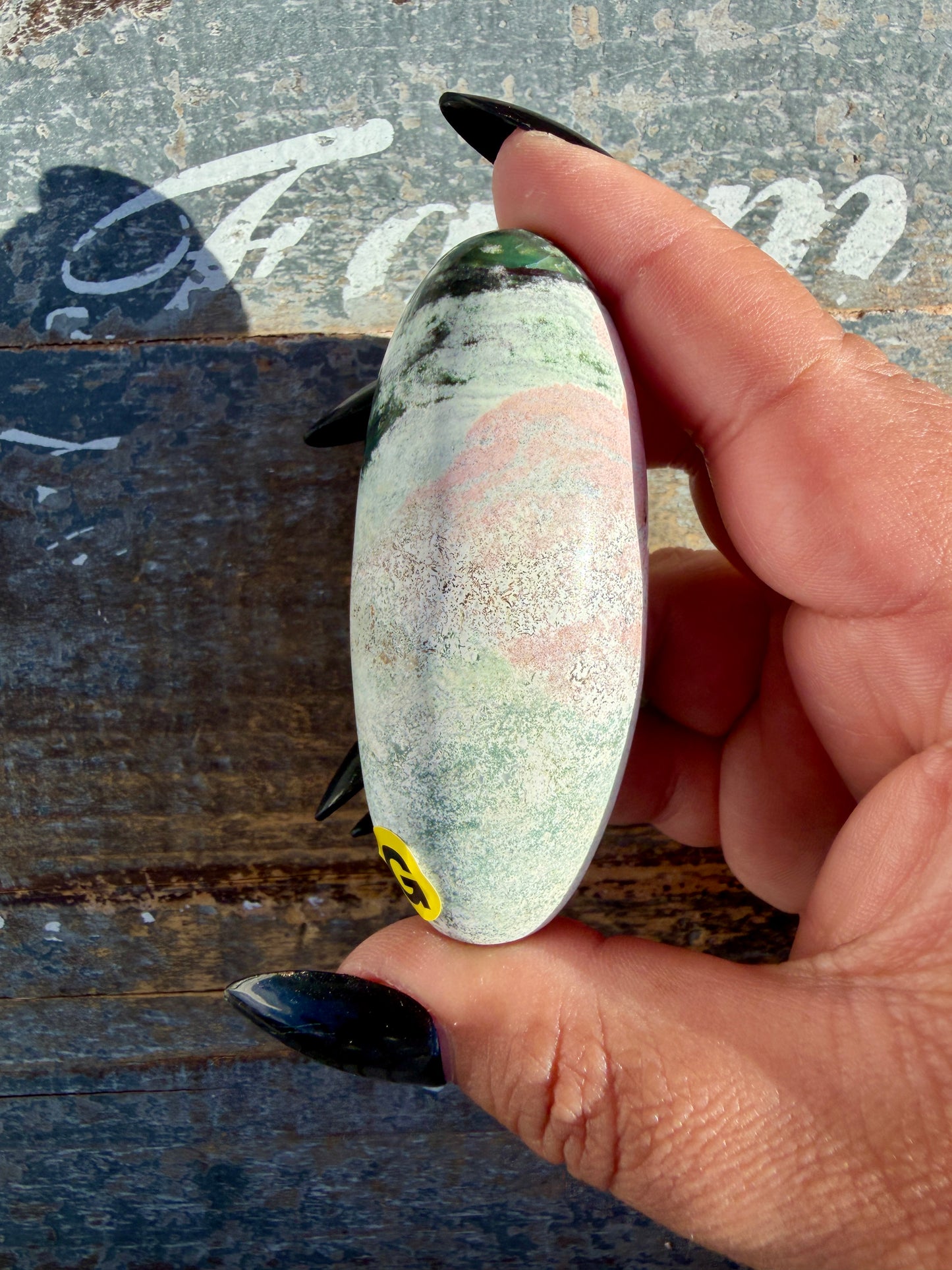 Gorgeous Pastel Unicorn Jasper Lingam | Opt G
