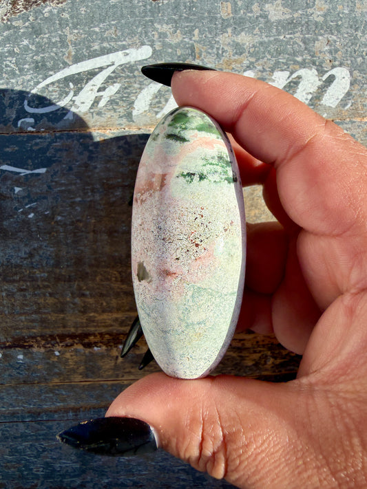 Gorgeous Pastel Unicorn Jasper Lingam | Opt G