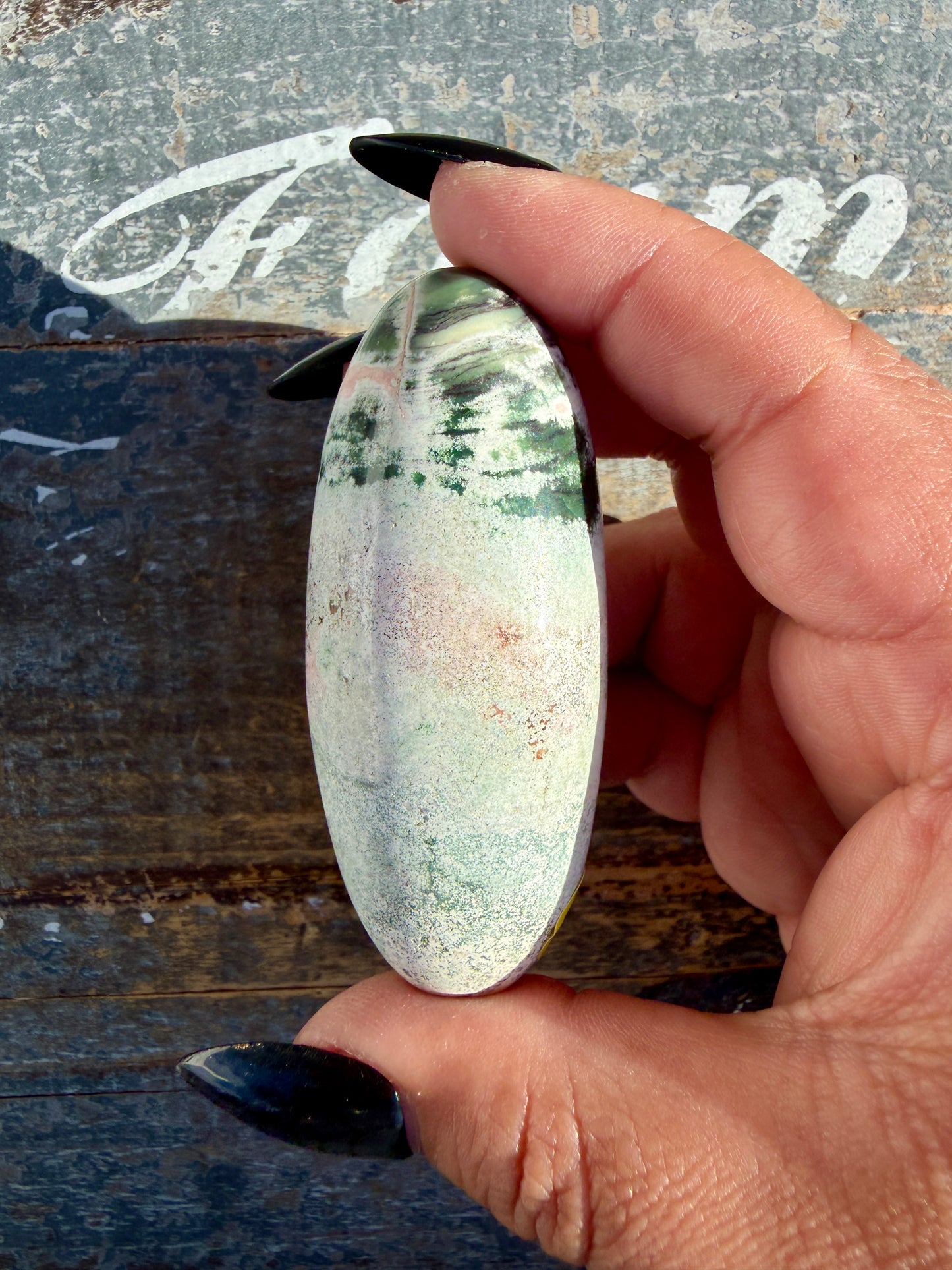 Gorgeous Pastel Unicorn Jasper Lingam | Opt G