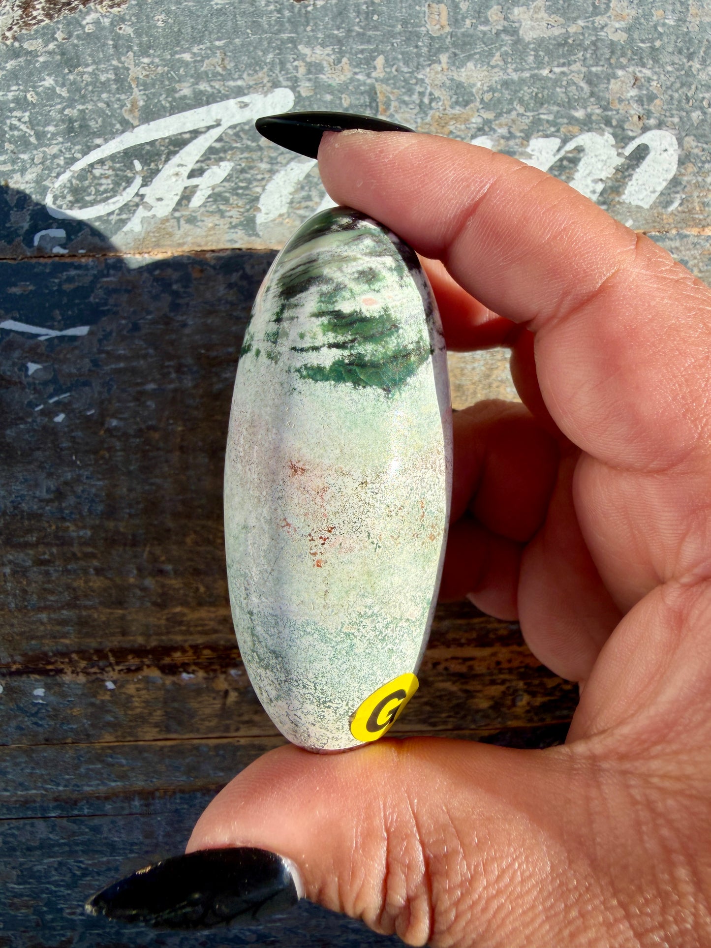 Gorgeous Pastel Unicorn Jasper Lingam | Opt G