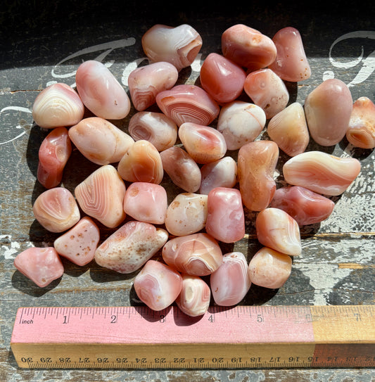 One (1) Gorgeous Botswana Apricot Agate Tumble from Africa