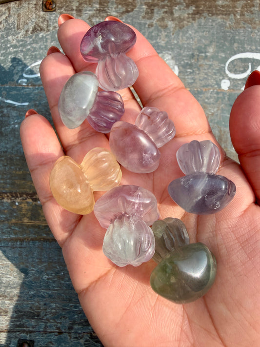 One (1) Rainbow Fluorite Jellyfish | Intuitively Chosen
