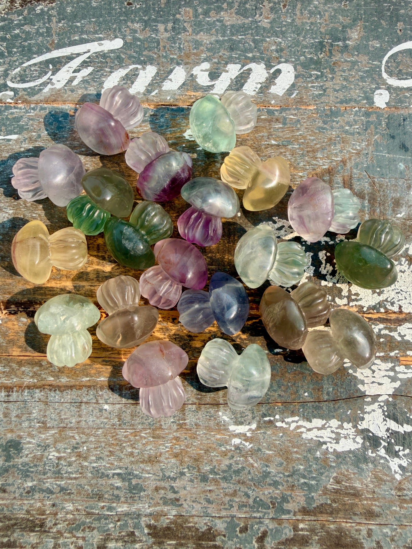 One (1) Rainbow Fluorite Jellyfish | Intuitively Chosen