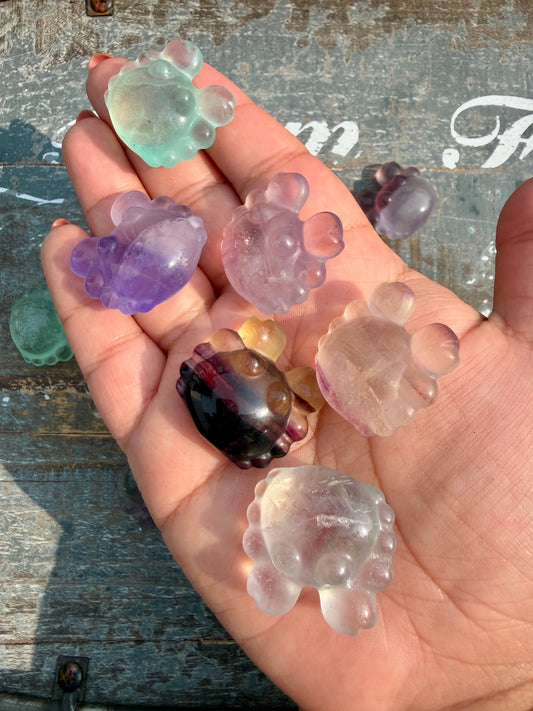 One (1) Rainbow Fluorite Crab | Intuitively Chosen