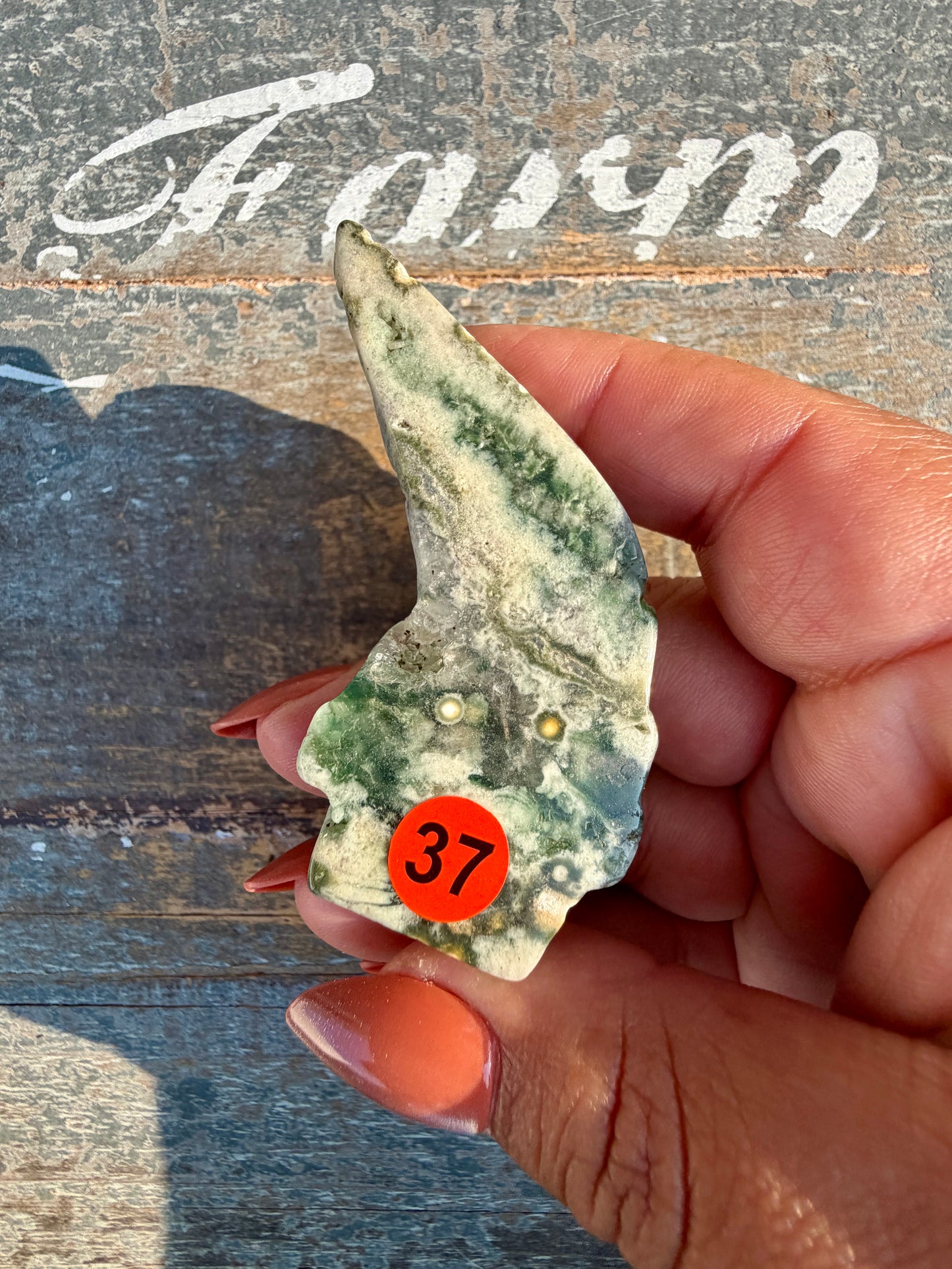 Gorgeous Ocean Jasper Hand Carved Skull w/ Feather | Opt 37