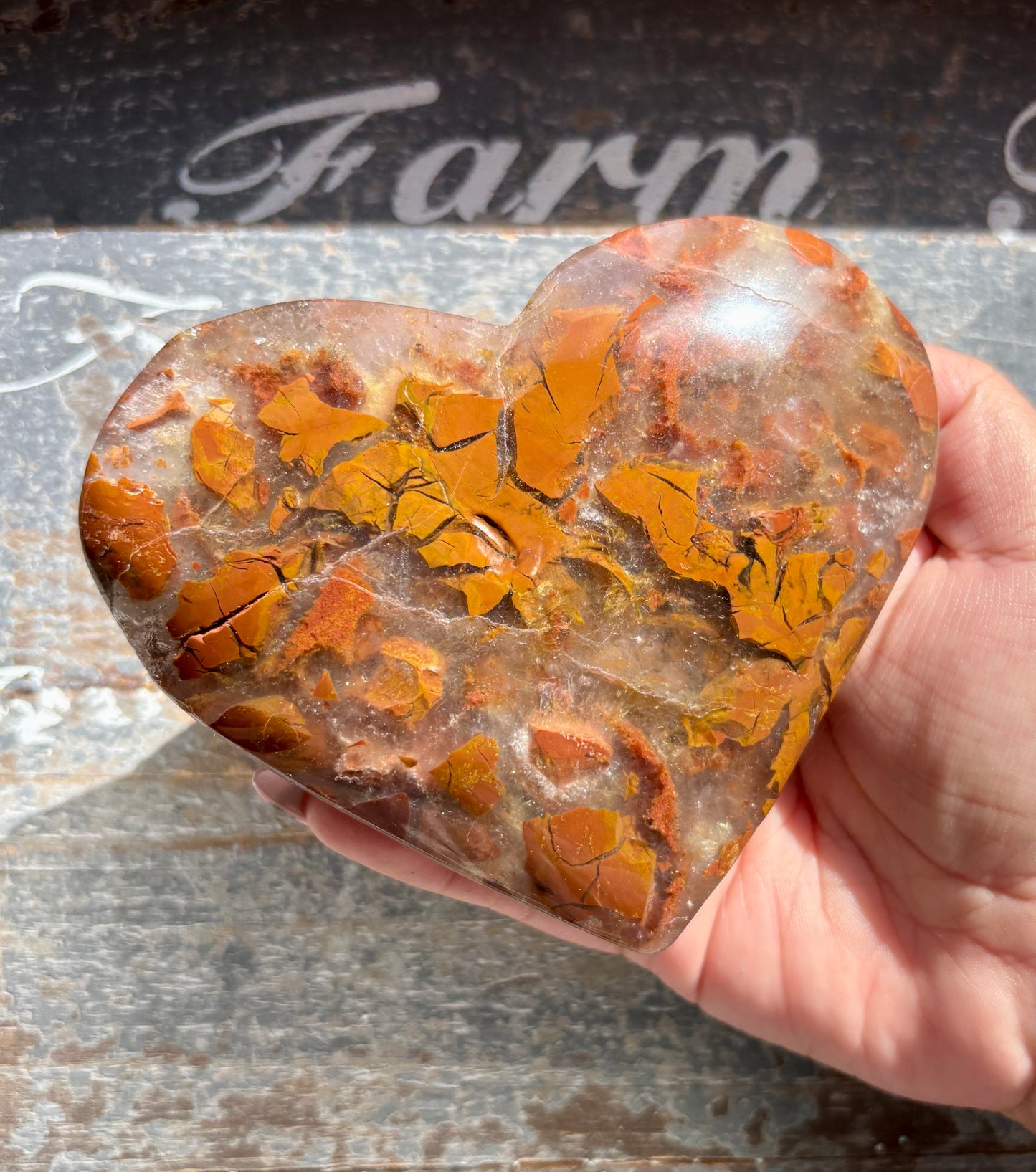 Gorgeous Brecciated Jasper in Agate Heart from Indonesia