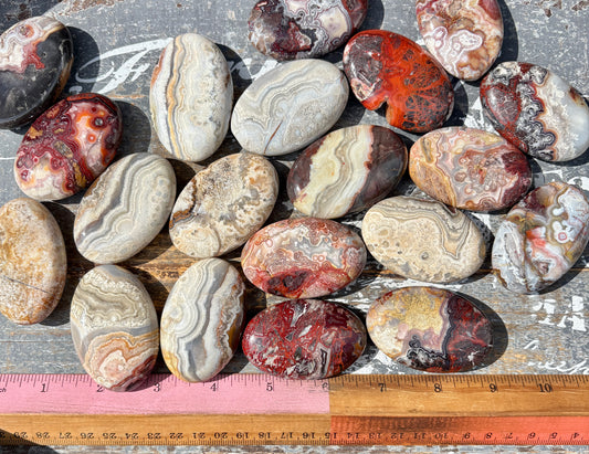 One (1) Gorgeous Crazy Lace Agate Palmstone (Mexico)